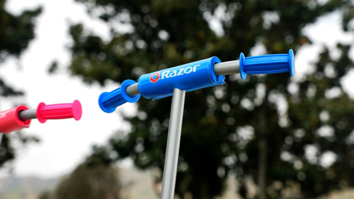 Kick Scooter D843