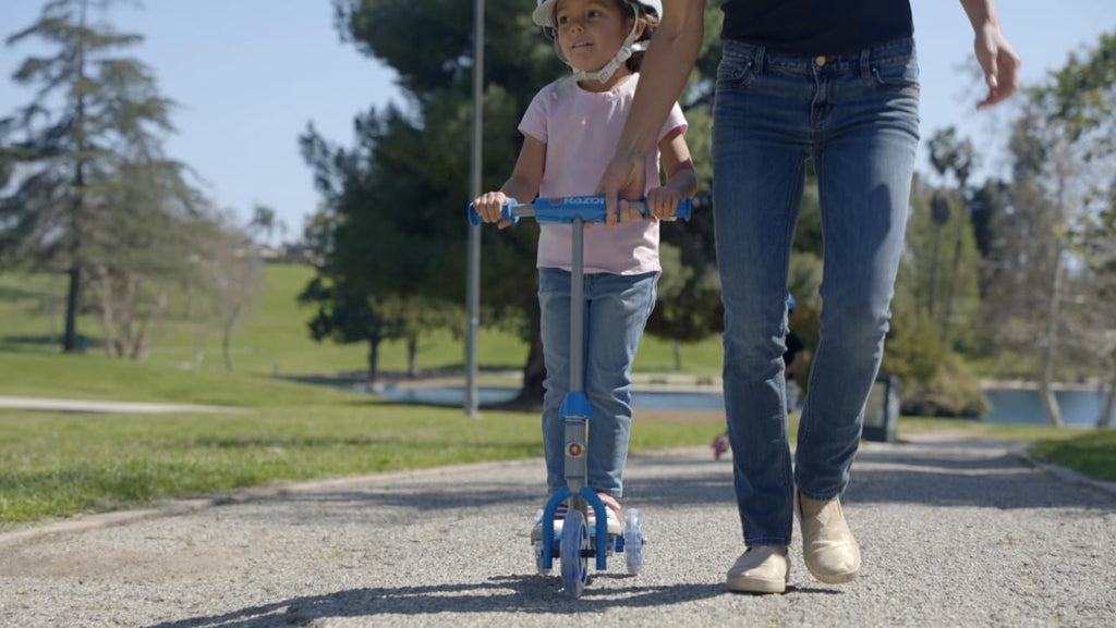 Kick Scooter D843