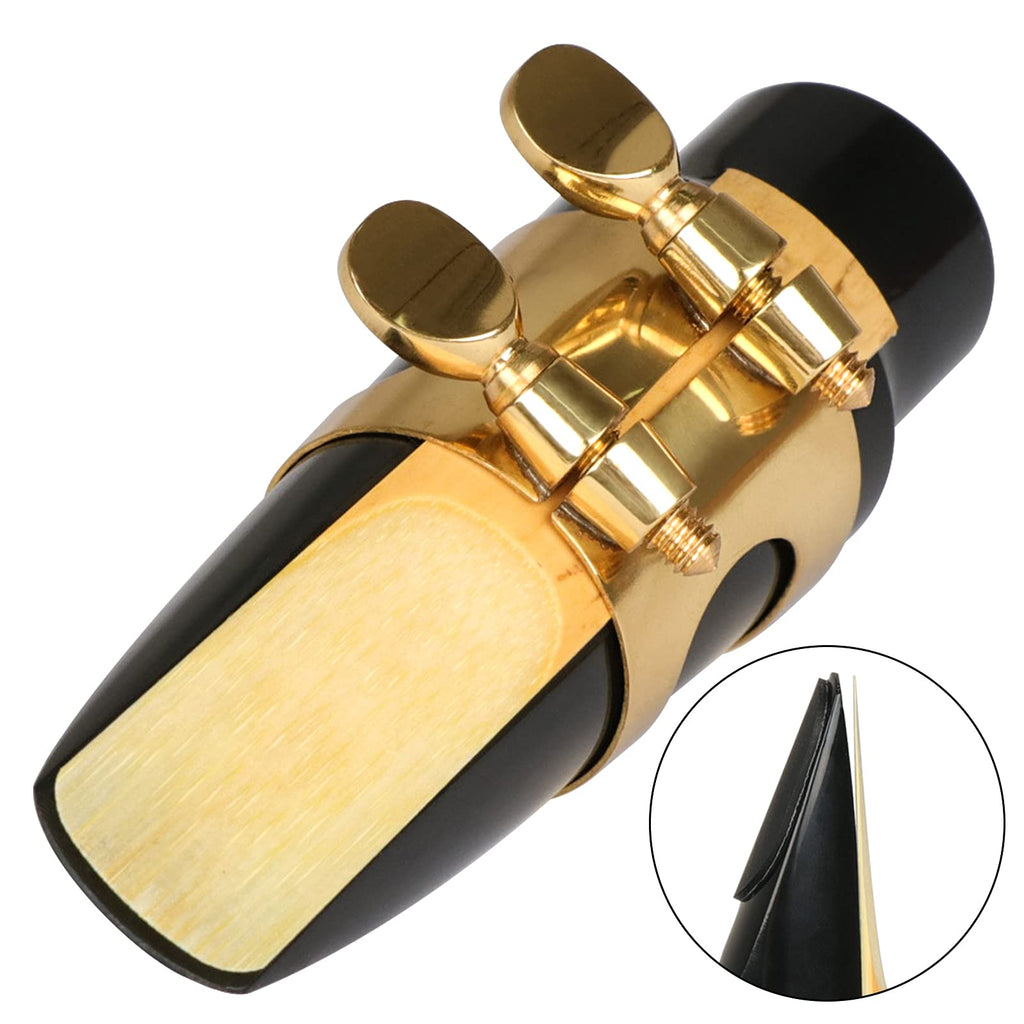 29 Pcs Alto Saxophone Mouthpiece Kit B672