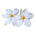 White Gardenia Plant 3 Feet Tall L470985