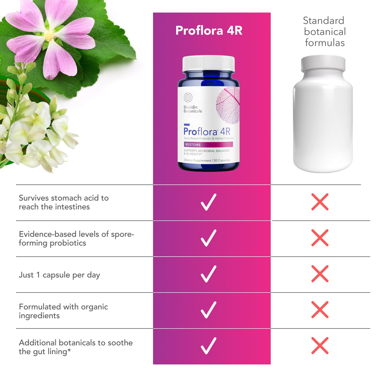 30 Count Spore Probiotic F2373