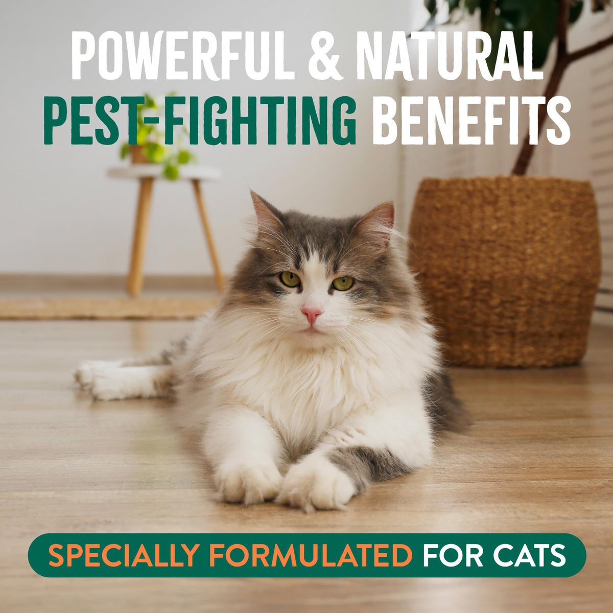 Waterless Flea and Tick Shampoo for Cats 7.4oz K78137