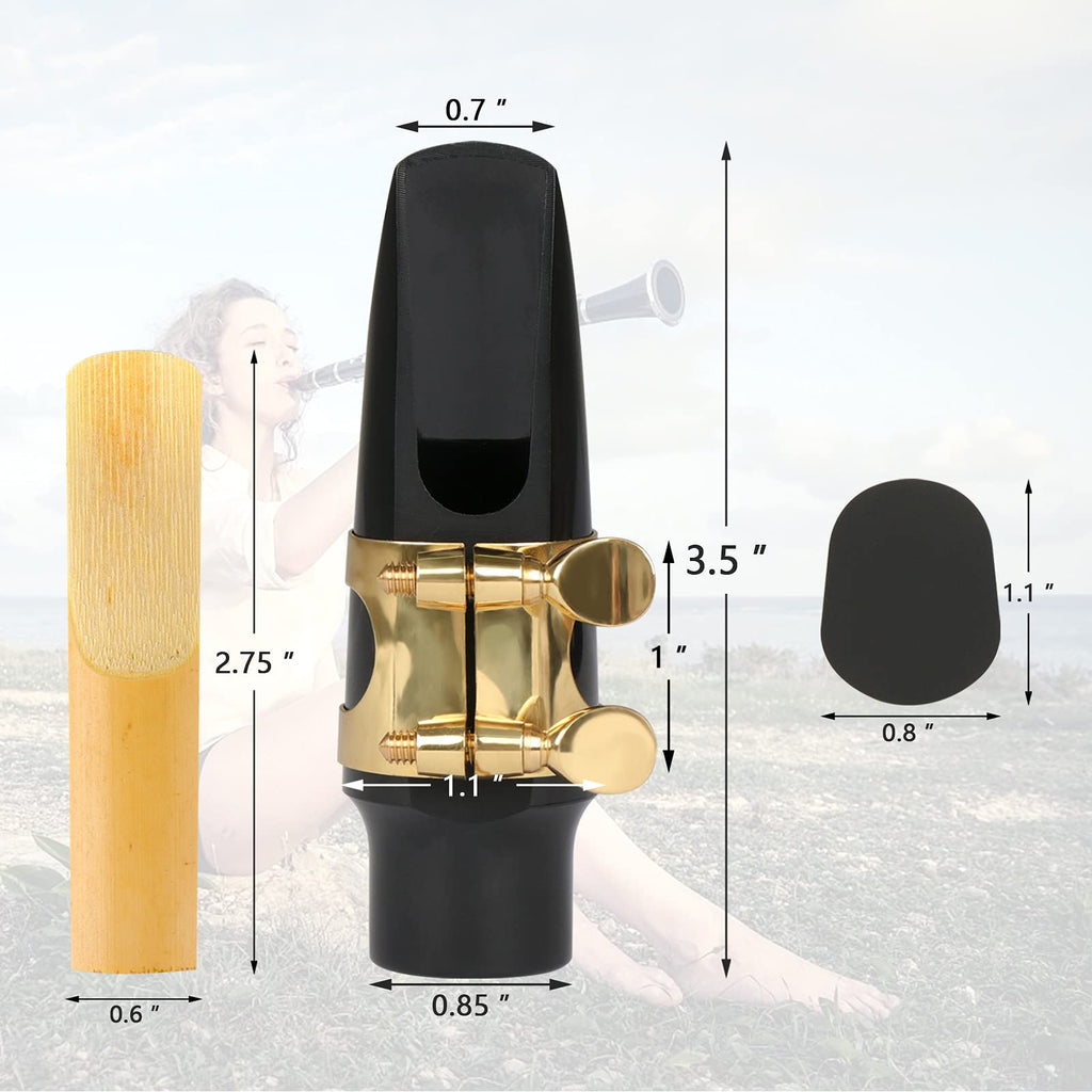 29 Pcs Alto Saxophone Mouthpiece Kit B672