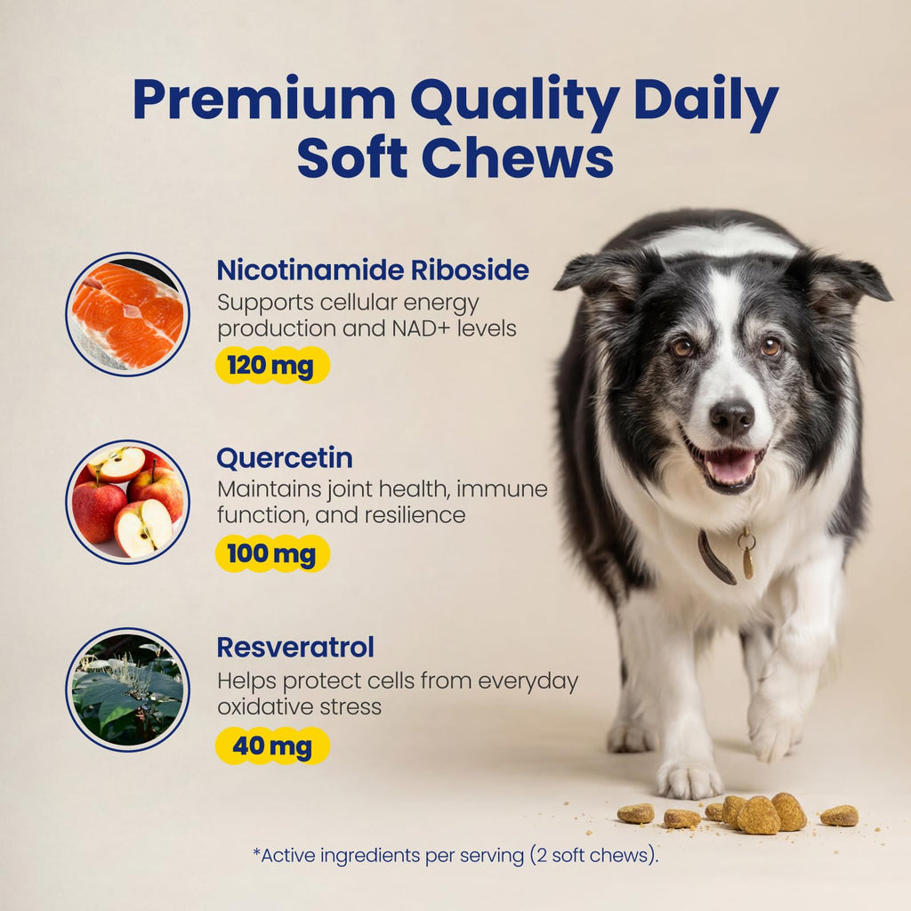 90 Soft Chews NAD+ Precursor Senior Dog Supplement E24227
