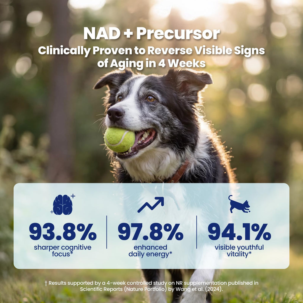 90 Soft Chews NAD+ Precursor Senior Dog Supplement E24227