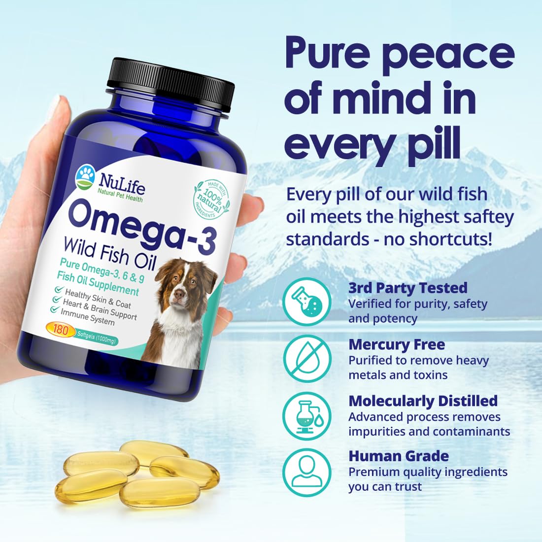Omega 3 Fish Oil 1000mg 180 Capsules I706