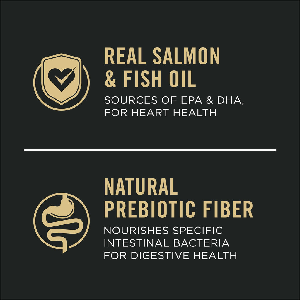 Salmon & Rice Dry Dog Food 40 lb. Bag K593