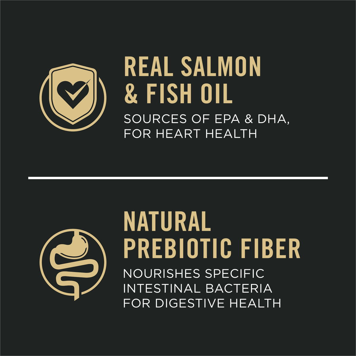 Salmon & Rice Dry Dog Food 40 lb. Bag K593