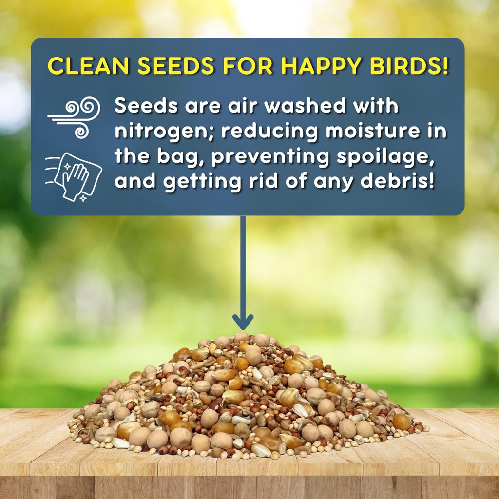 Dove Bird Seed 20 Pound B3788