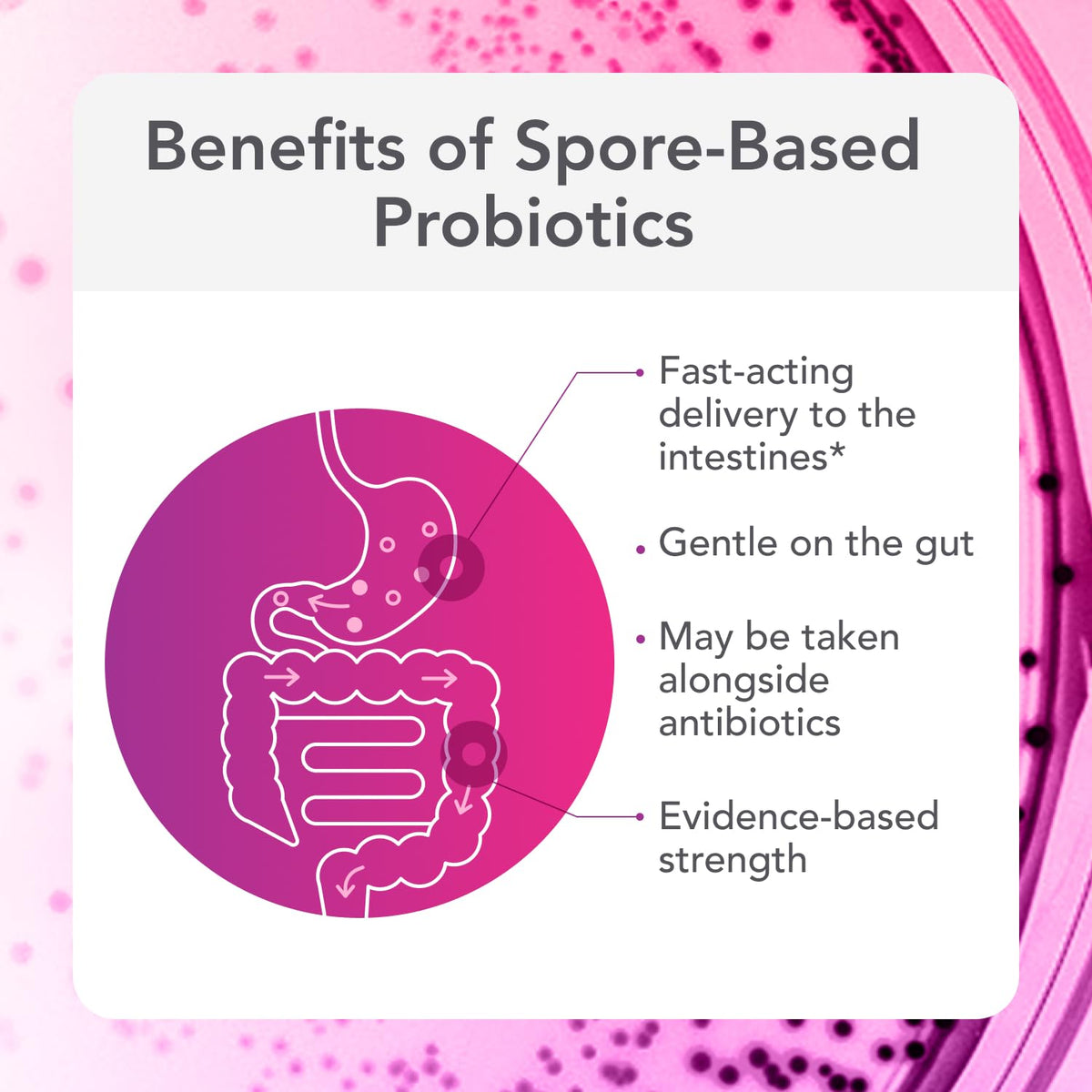 30 Count Spore Probiotic F2373