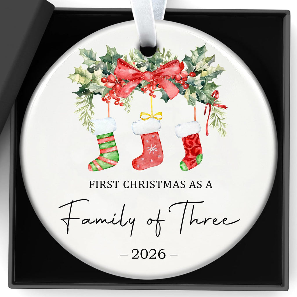 Baby First Christmas Ornaments 2026 N8001