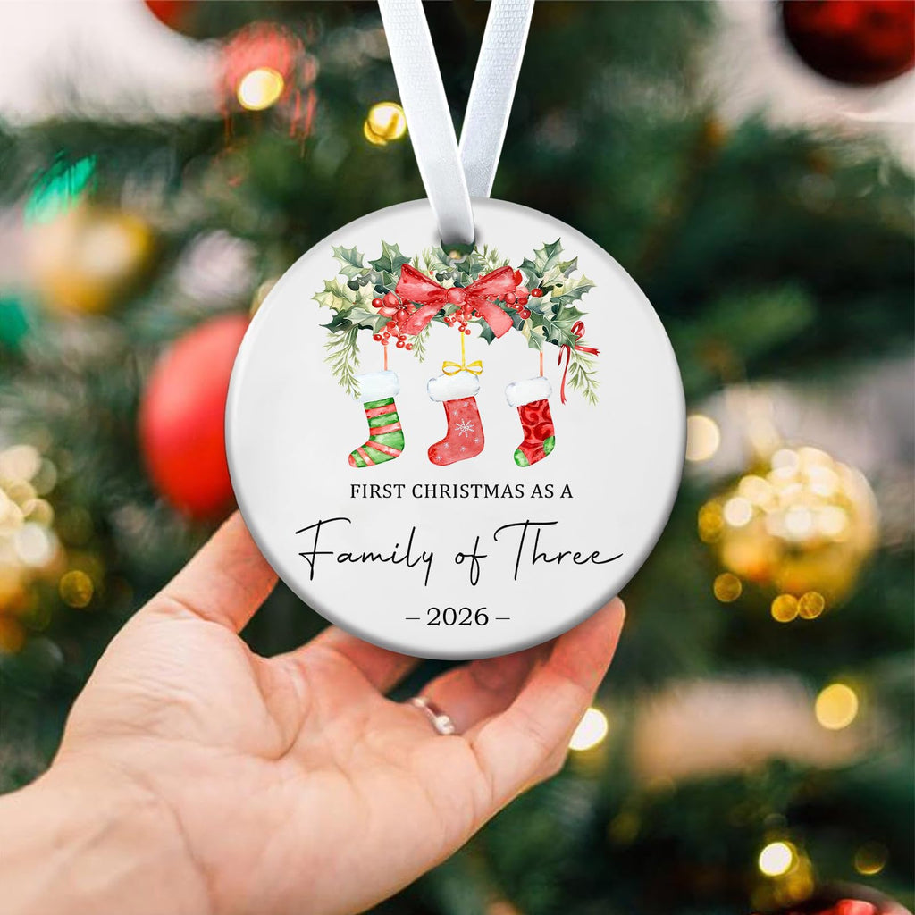 Baby First Christmas Ornaments 2026 N8001