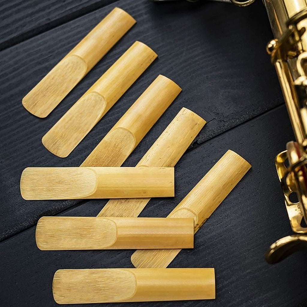 29 Pcs Alto Saxophone Mouthpiece Kit B672