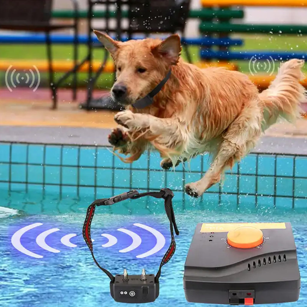 Electric In-Ground Dog Fence Waterproof Shock Collar V33119