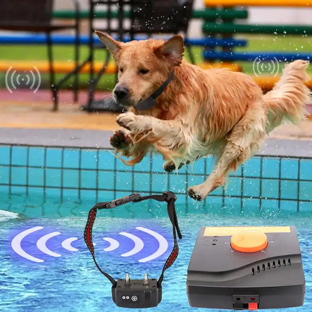 Electric In-Ground Dog Fence Waterproof Shock Collar V33119