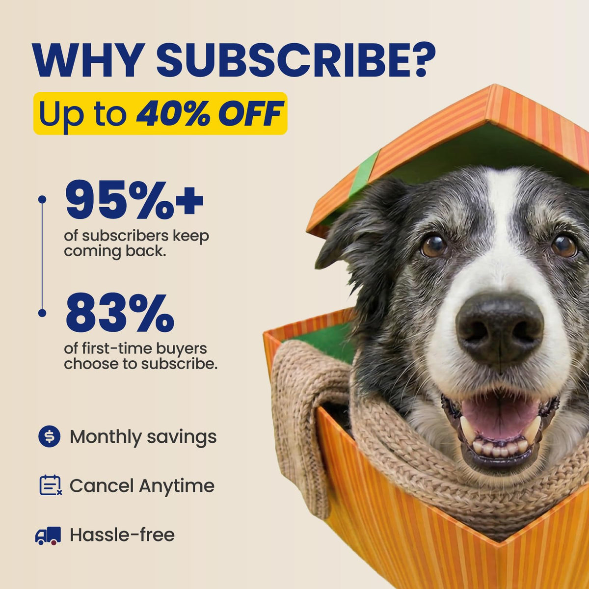 90 Soft Chews NAD+ Precursor Senior Dog Supplement E24227