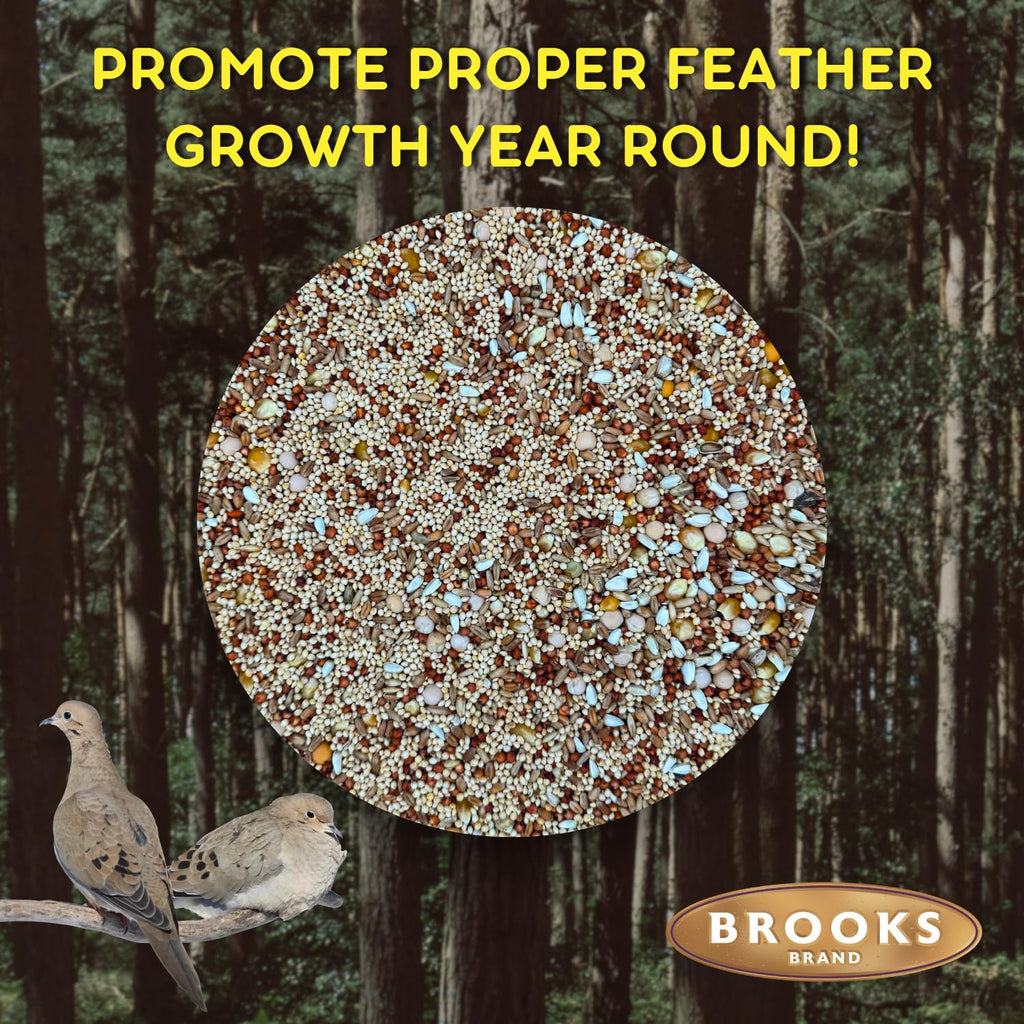 Dove Bird Seed 20 Pound B3788