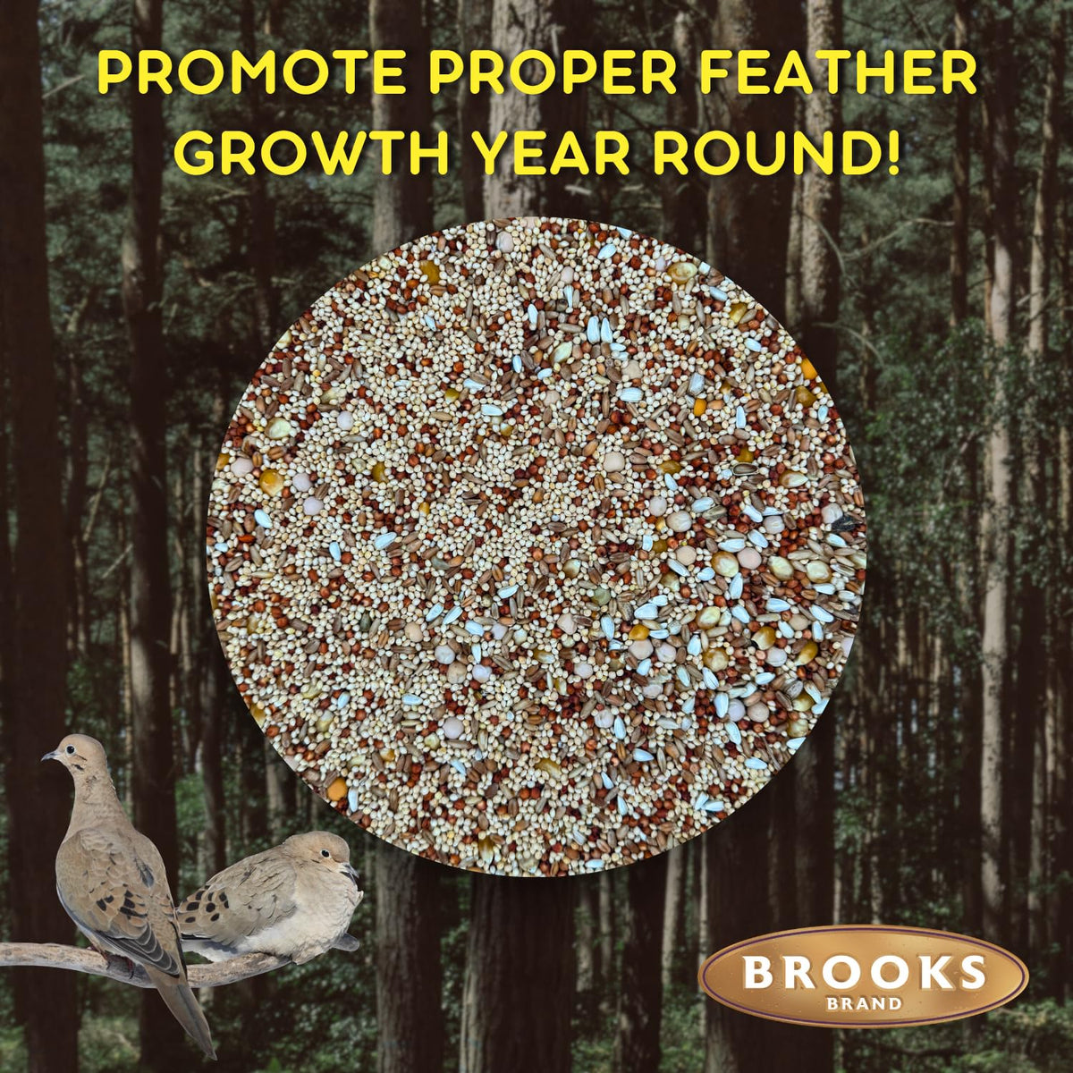 Dove Bird Seed 20 Pound B3788