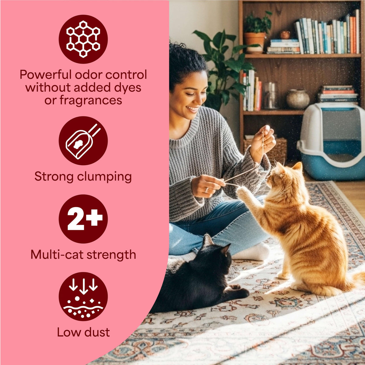 Unscented Clumping Cat Litter with Activated Charcoal, 14 lb J99282