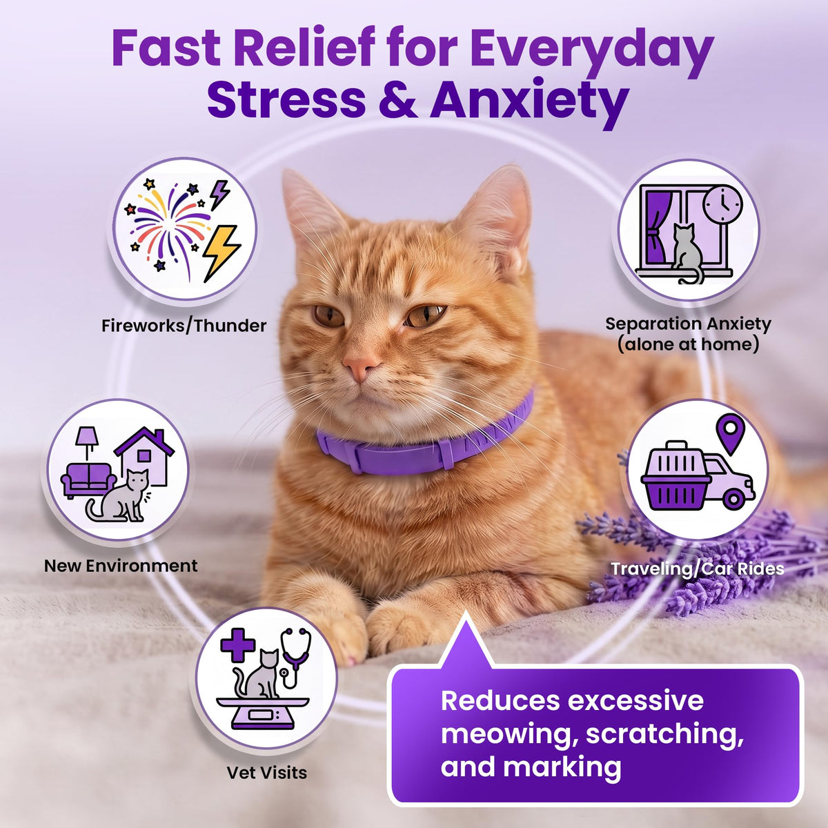 4 Pack Adjustable Calming Collar for Cats W554840