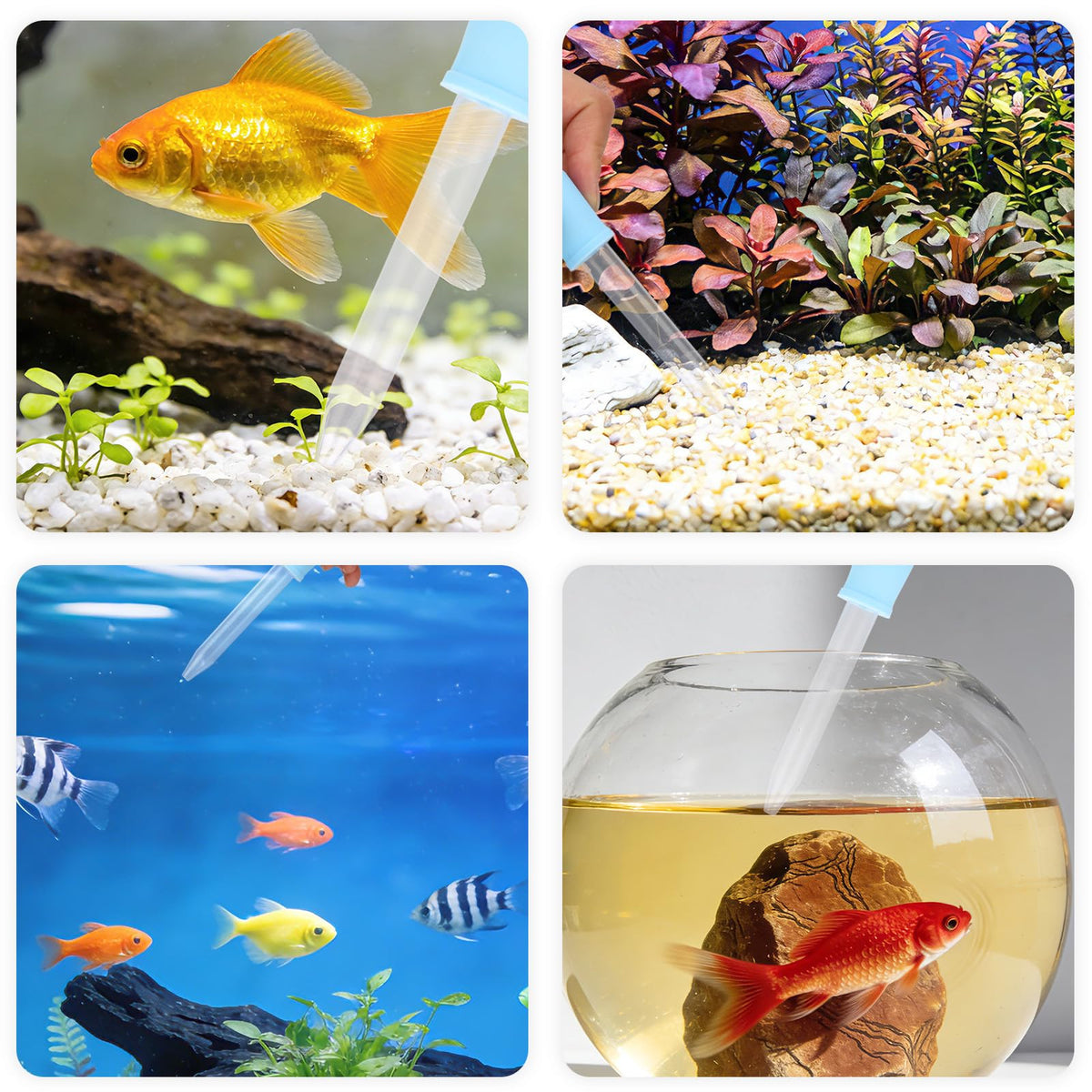 Aquarium Cleaning Tools Kit with Sponge Scrubbers and Brushes Q847