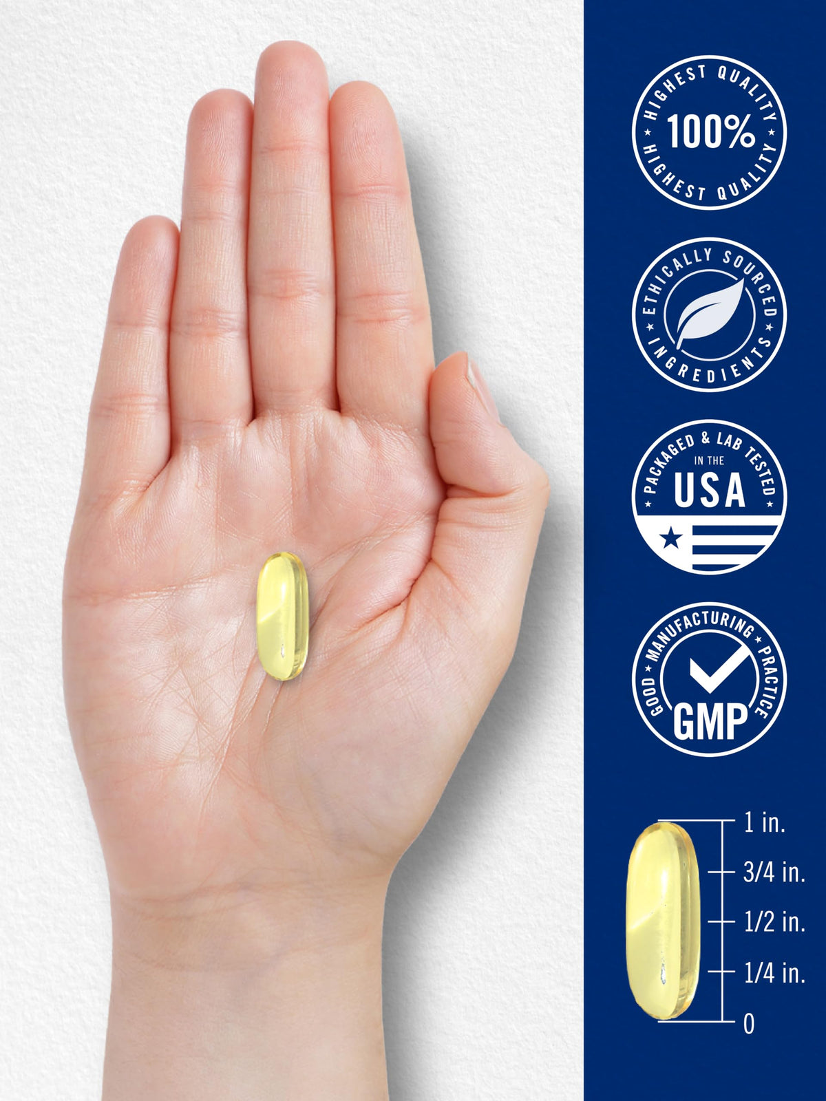 Fish Oil 3600mg 1080mg Omega 3 120 Count T849