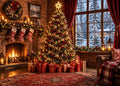 Fabric Christmas Window Backdrop J7457