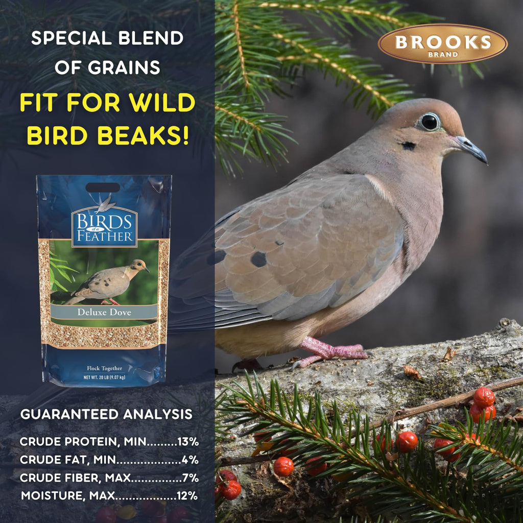 Dove Bird Seed 20 Pound B3788