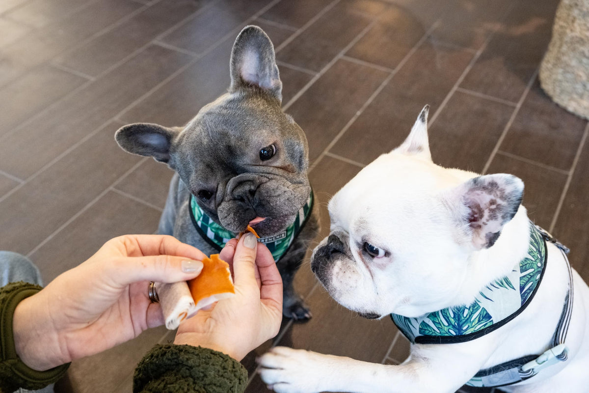 Pill Wrapper for Dogs & Cats, 30 Count M253742