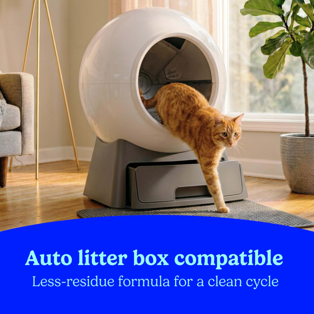 Unscented Clumping Cat Litter with Activated Charcoal, 14 lb J99282