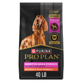 Salmon & Rice Dry Dog Food 40 lb. Bag K593