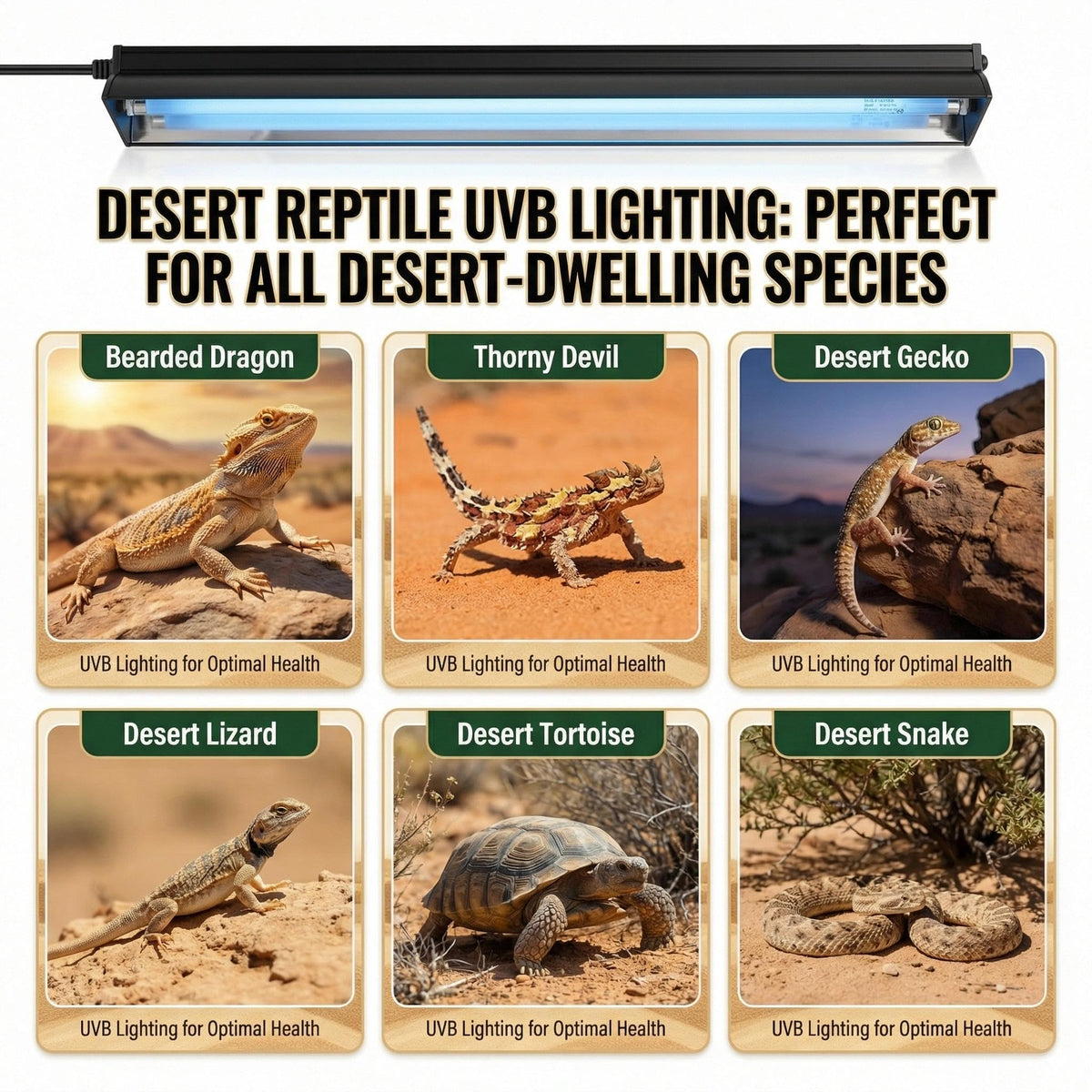 8W 10.0 12 Inch T5 UVB Reptile Light Fixture with Bulb C65838
