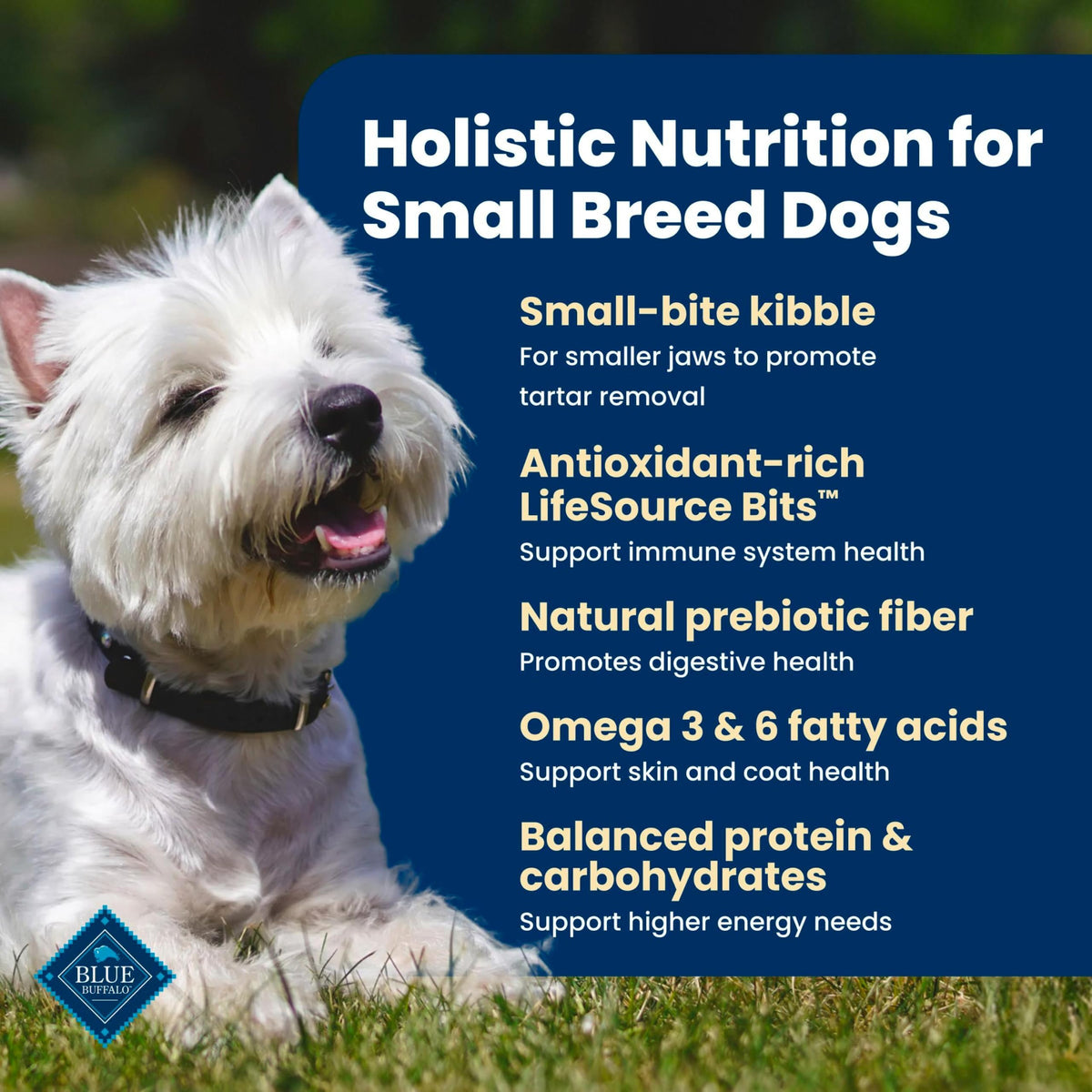 Chicken Small Breed Dry Dog Food, 5 lb X22003